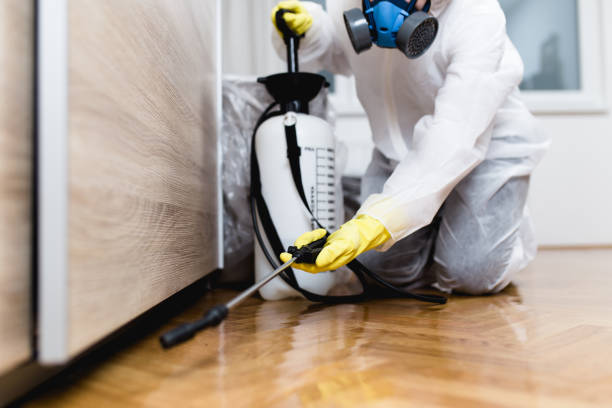 Best Best Pest Control Companies  in Sarand, AL