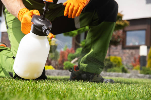 Best Best Pest Control Near Me  in Sarand, AL