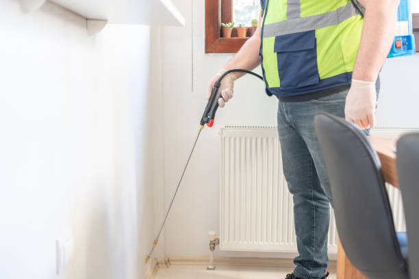 Best Ant Control Services  in Sarand, AL