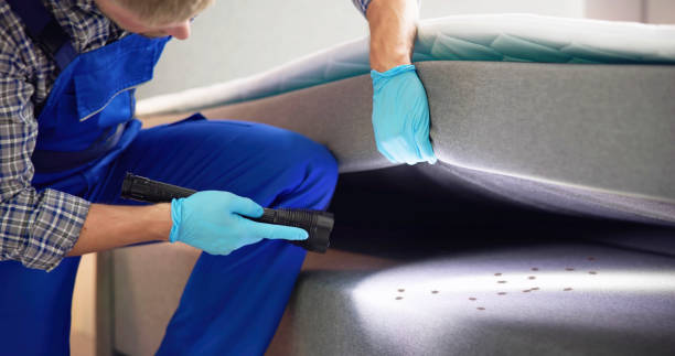 Best Rat Extermination Near Me  in Sarand, AL