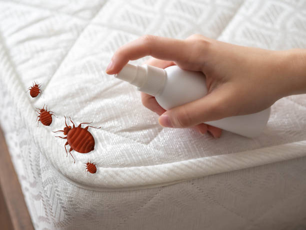 Best Exterminator Services  in Sarand, AL