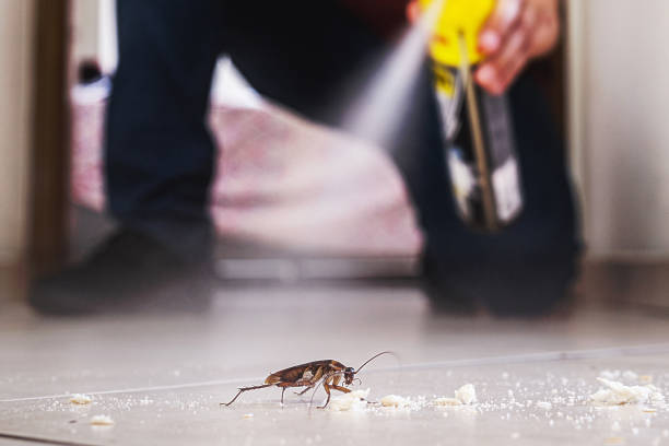 Professional Pest Control in Saraland, AL