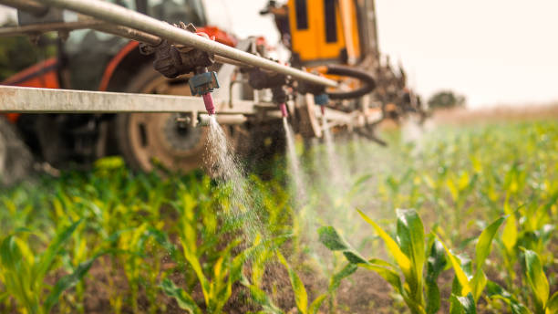 Pest Prevention Services in Saraland, AL